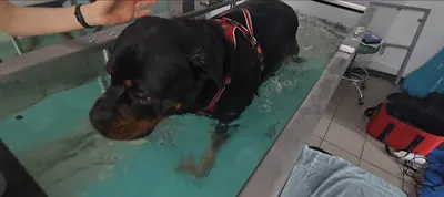 ZOO HELP FILIP KONOPIŃSKI